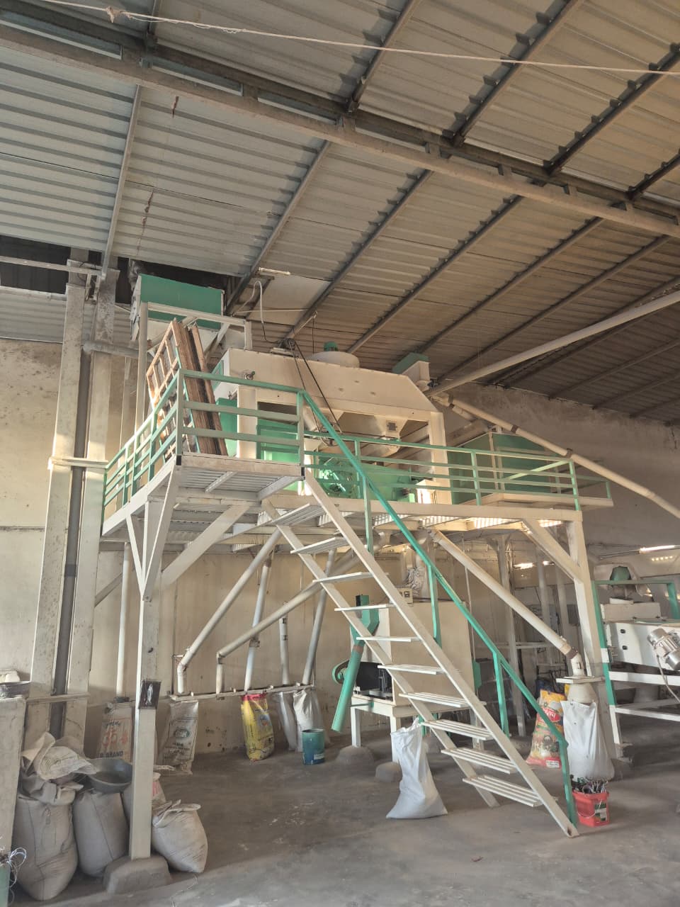 Premium Wheat Grains